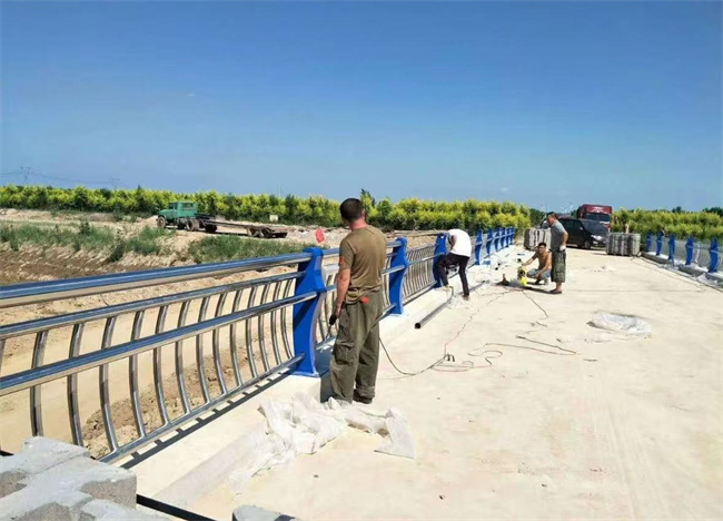 河道护栏决绝中间商赚差价支持定制精致工艺