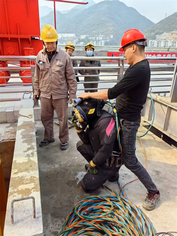 水下安装公司诚信为本