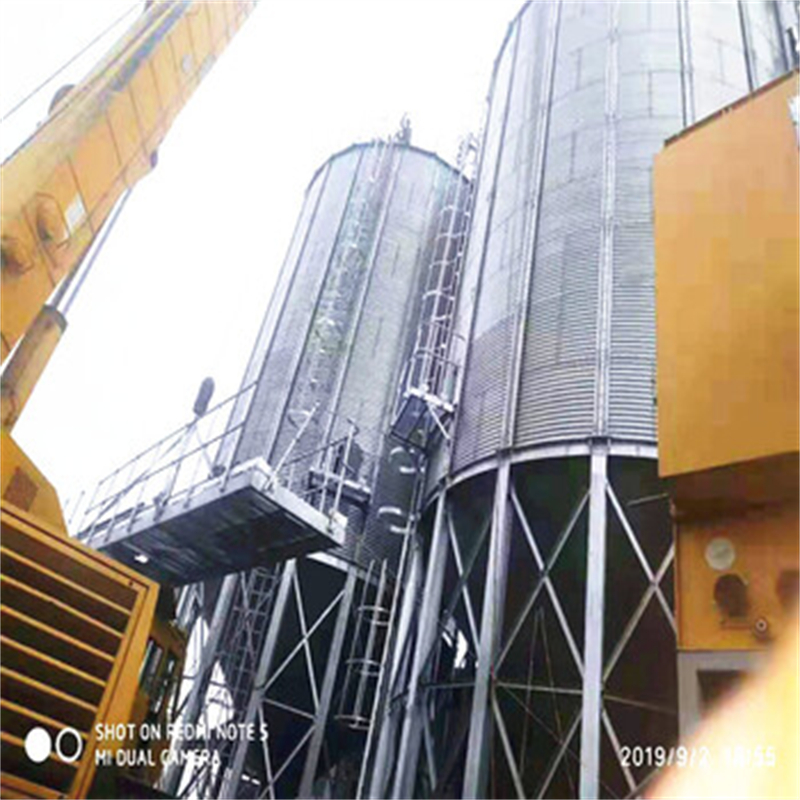 大型立式粮食储存仓厂家-价格低
