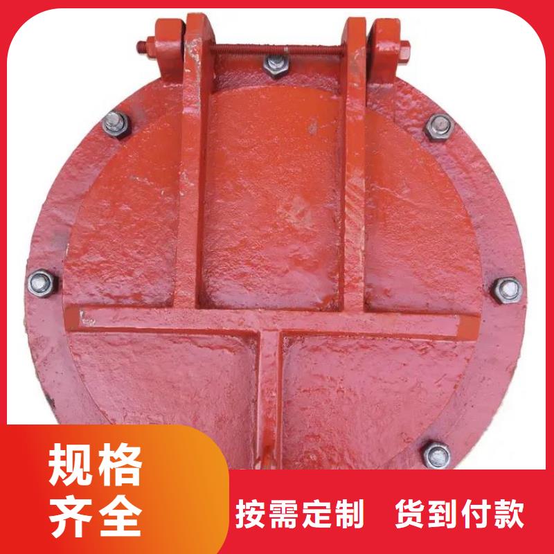 【拍门_手提铸铁闸门不只是质量好】本地生产商