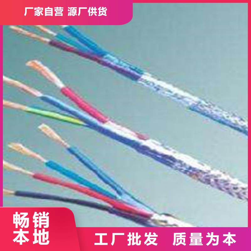 计算机电缆电缆生产厂家批发供应精工细作品质优良