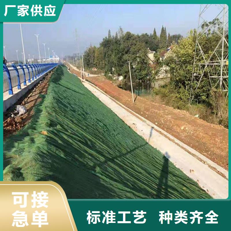 三维植被网土工布精心同城厂家