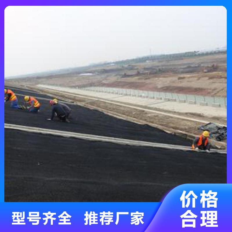 水土保护毯软式透水管技术先进实拍展现