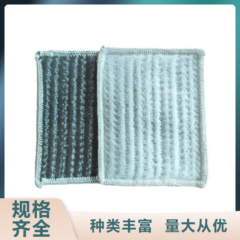 【膨润土防水毯】土工膜优选厂家现货满足大量采购