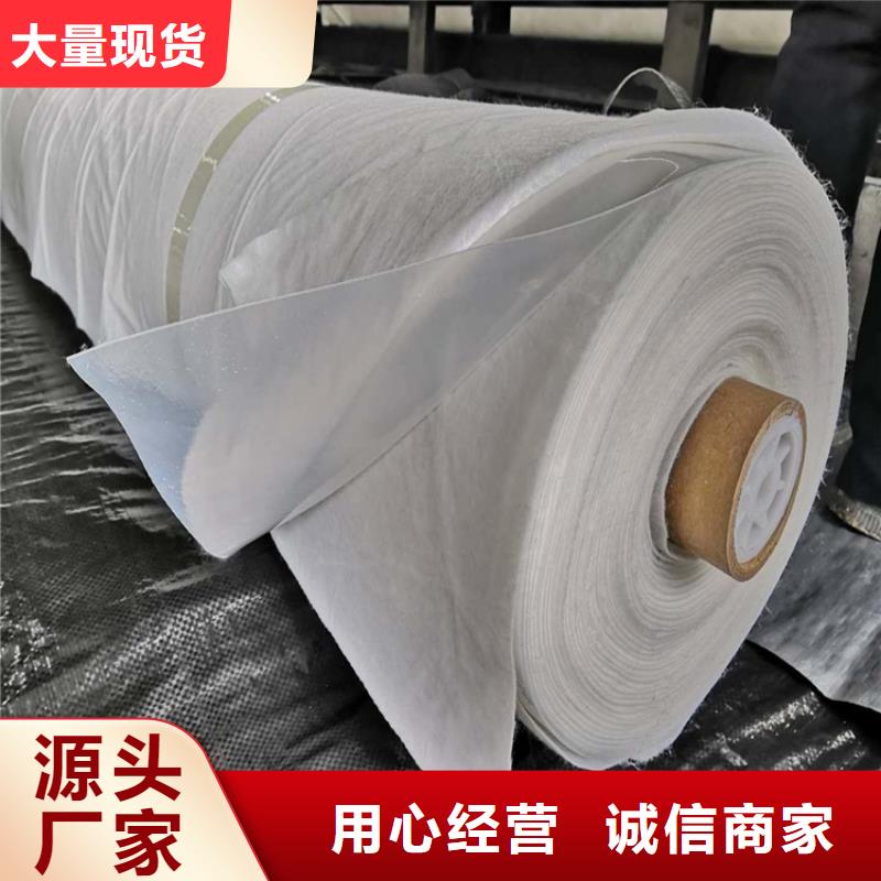 土工布专业生产设备优势