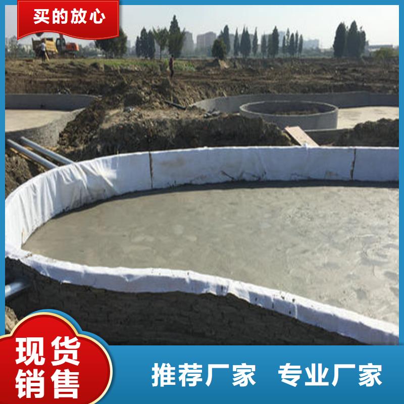 膨润土防水毯-双向塑料土工格栅一站式采购方便省心同城生产商