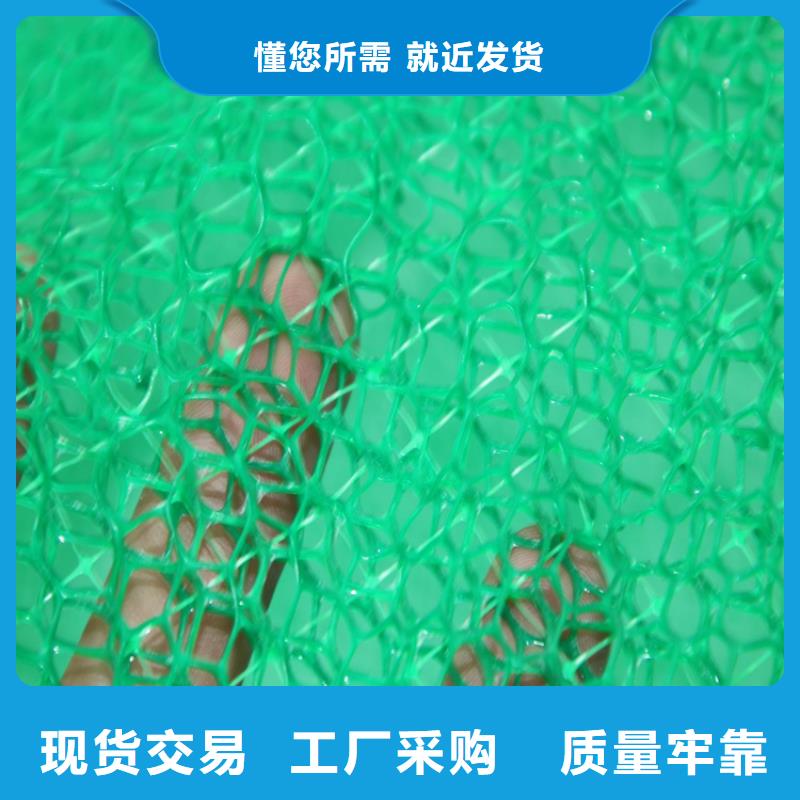 三维植被网防水板安装简单实力大厂家