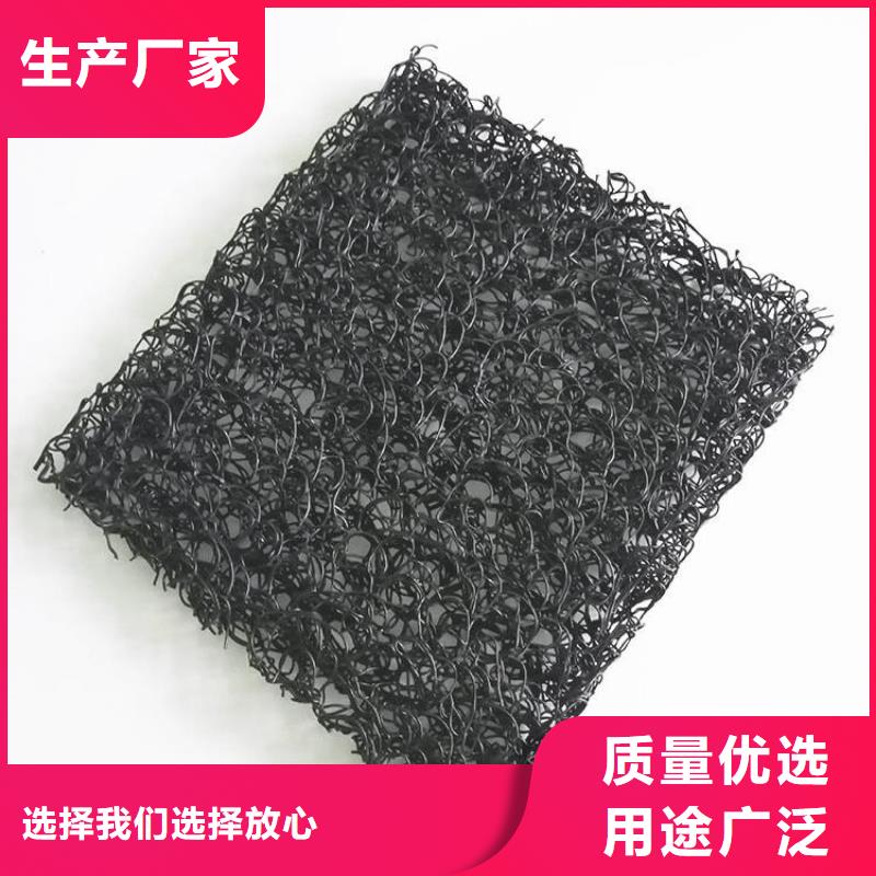 土工席垫土工格栅多年行业积累主推产品
