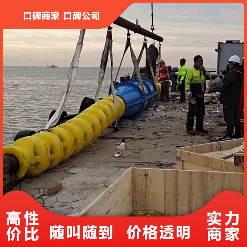 潜水员服务水下探测仪知名公司精英团队