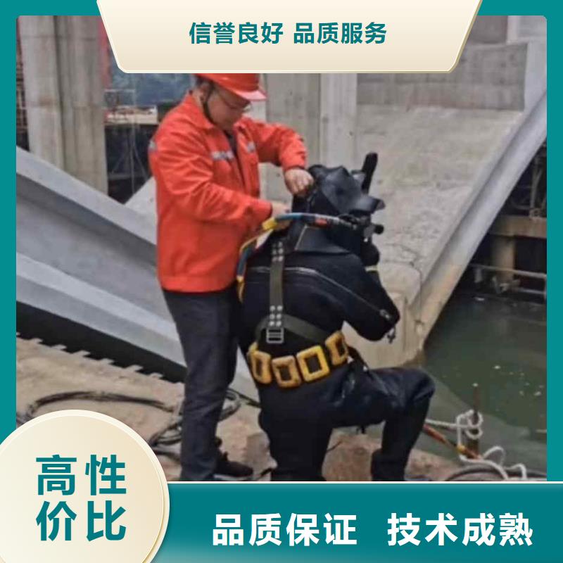 潜水员服务封堵工程技术精湛同城品牌