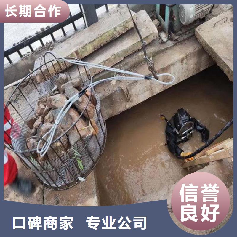 水下维修_堤防工程施工实力强有保证省钱省时