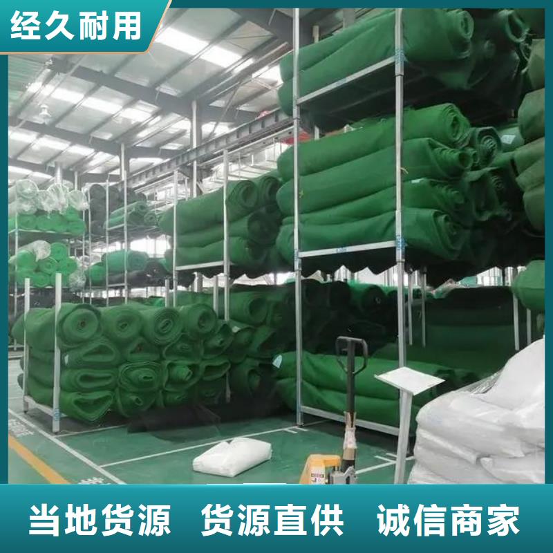 三维植被网【止水铜片】优良工艺产地源头好货