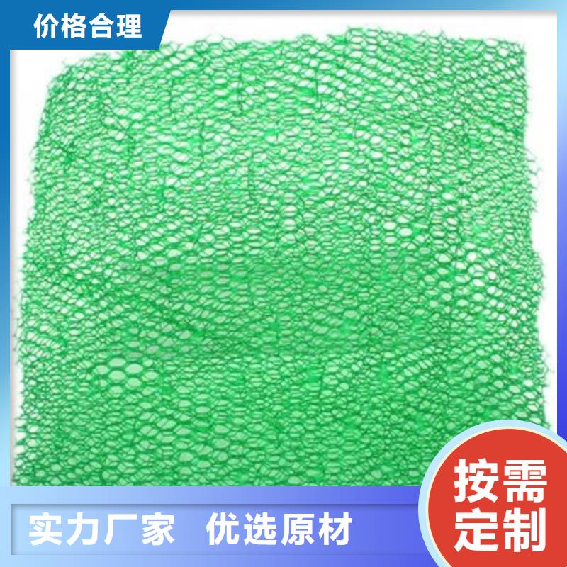 【三维植被网聚乙烯醇纤维品质保障售后无忧】当地厂家