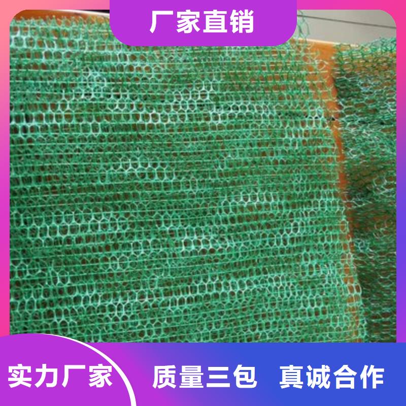 三维植被网-单壁打孔波纹管专业信赖厂家省心又省钱