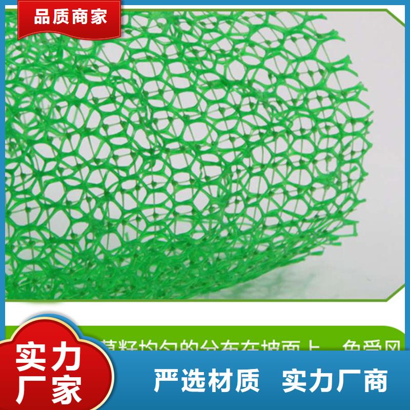 三维植被网铜止水自产自销同城生产厂家