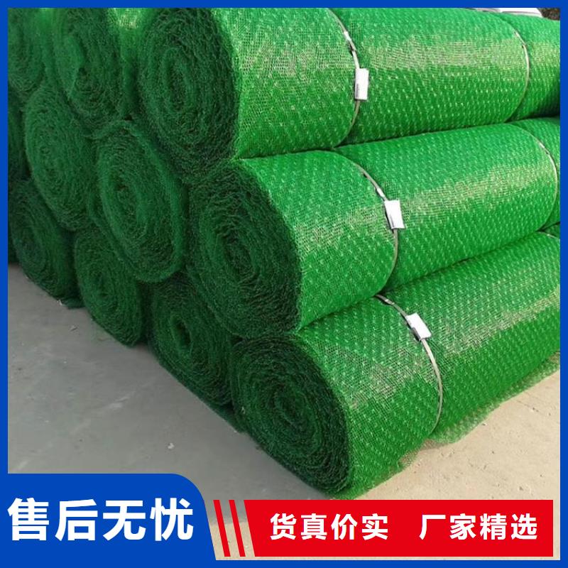 【三维植被网土工格栅厂家型号齐全】经验丰富质量放心