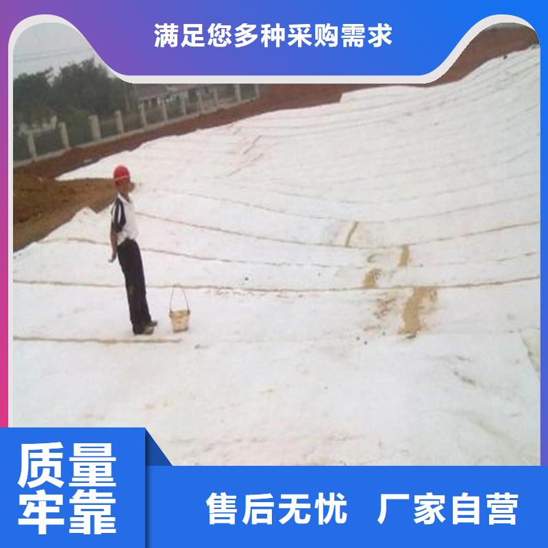 膨润土防水毯防渗膜选择我们没错生产安装