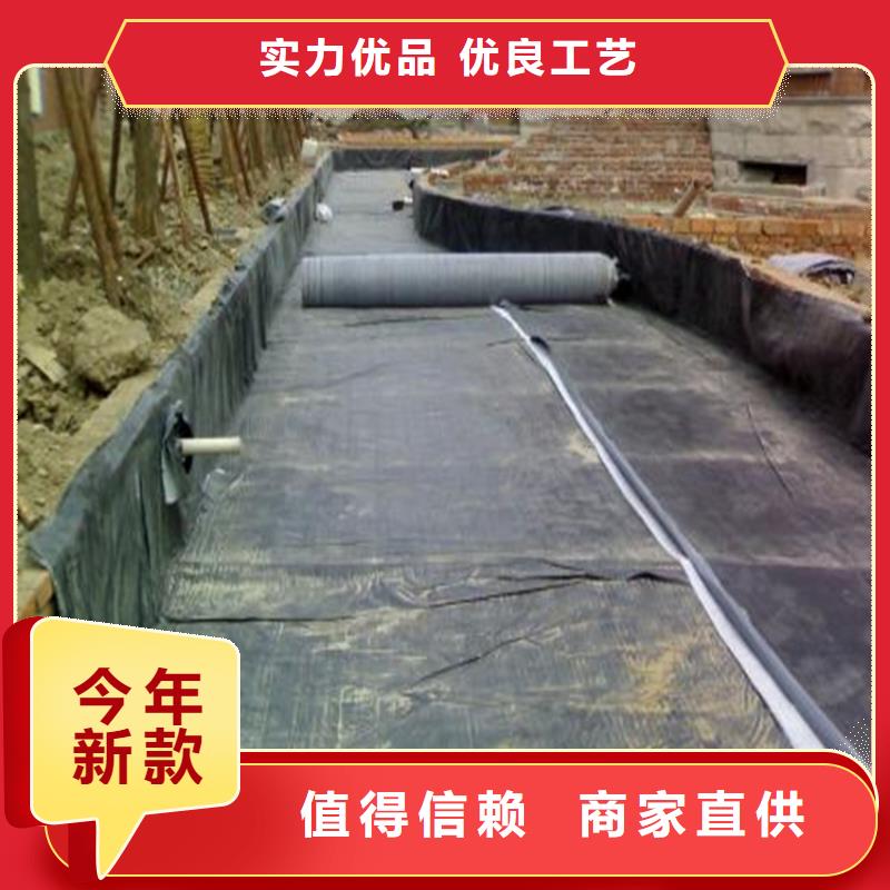 【膨润土防水毯】土工网垫来图来样定制同城品牌