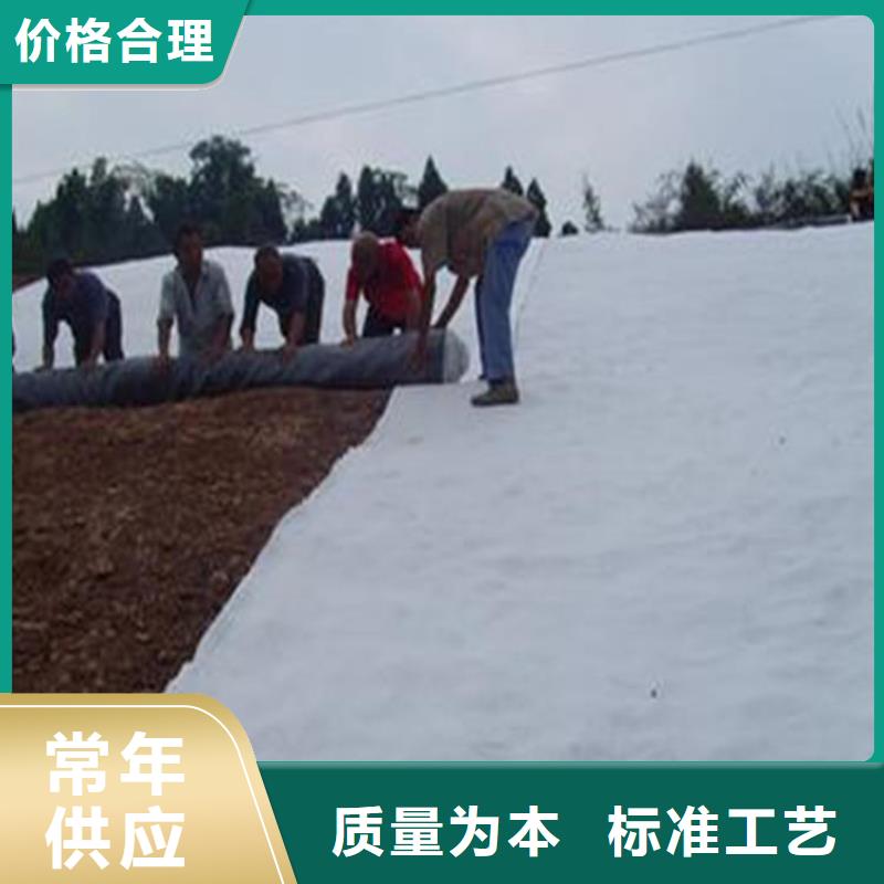 膨润土防水毯钢塑土工格栅热销产品同城服务商