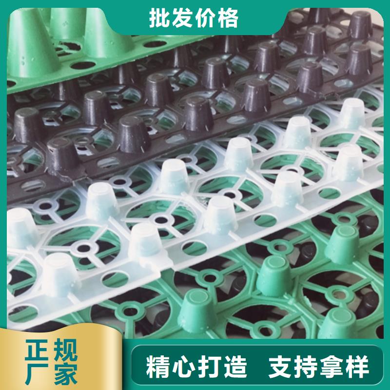 排水板-植草格低价货源质保一年