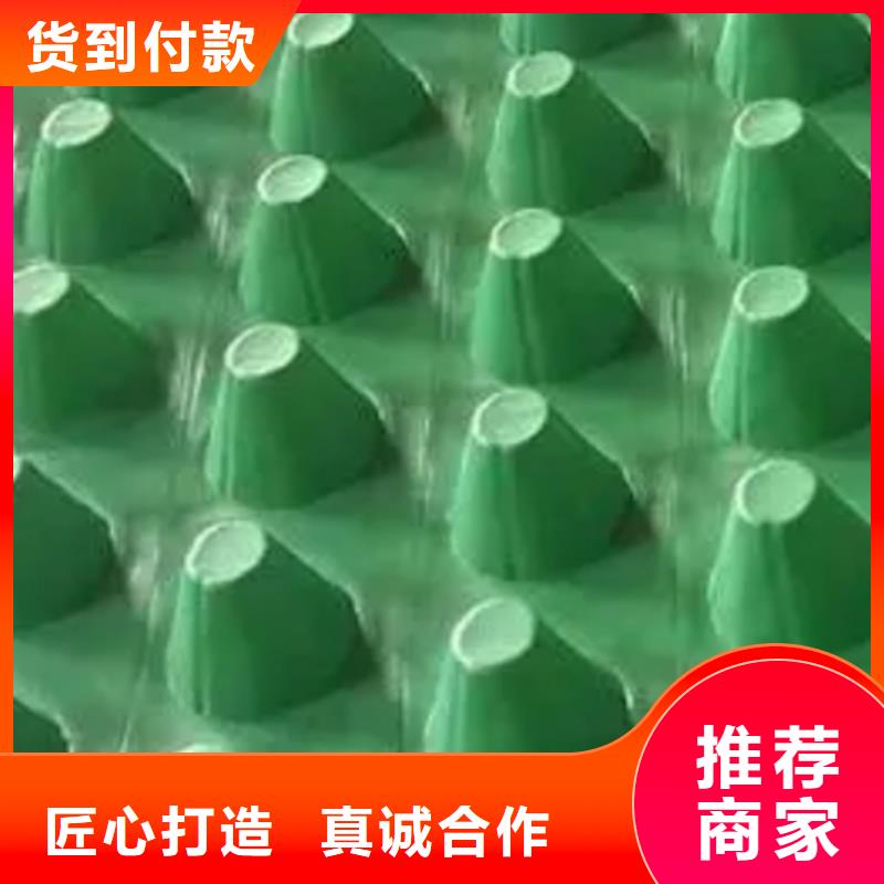 排水板【防护虹吸排水收集系统】市场报价超产品在细节