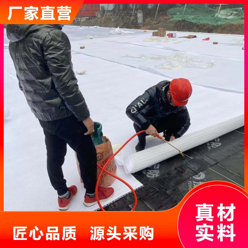 【虹吸排水】植草格厂家十分靠谱为您提供一站式采购服务