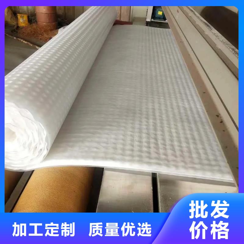 虹吸排水排水板合作共赢现货直供