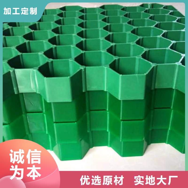 植草格,化粪池水泥批发价格专业厂家