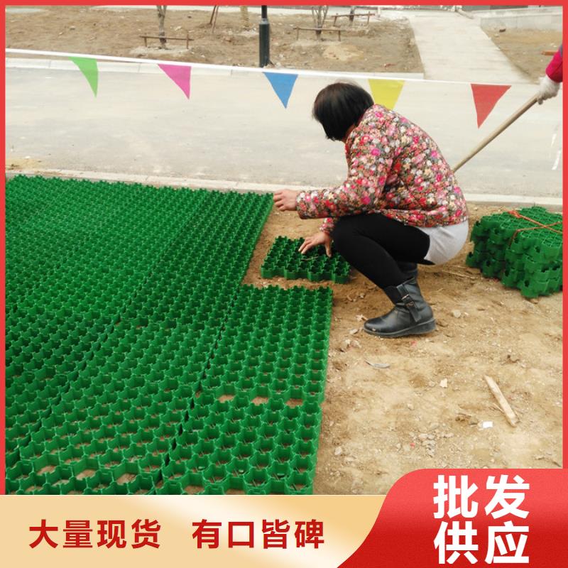 植草格-植草格国标检测放心购买同城品牌