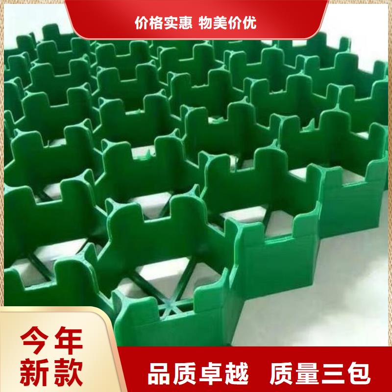 植草格,【植草格】生产安装为您精心挑选