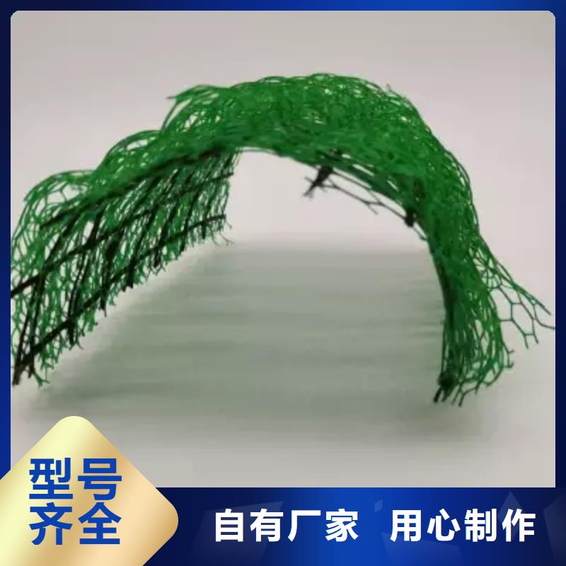 三维植被网水泥化粪池工厂直供质量好