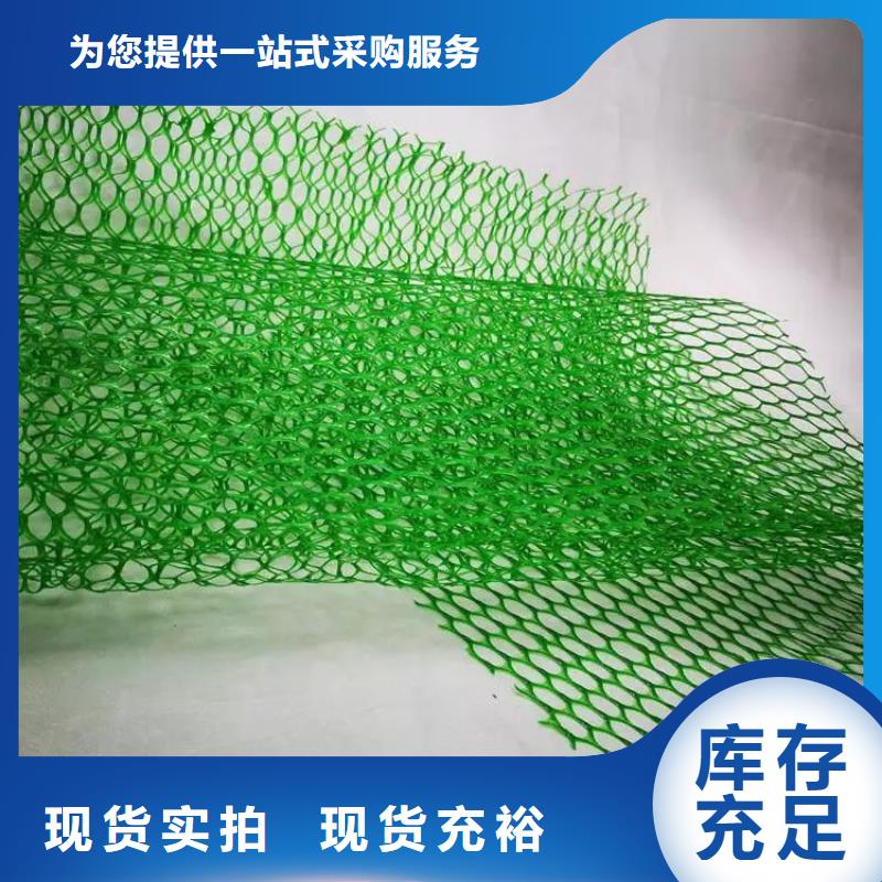 三维植被网_【植草格】客户满意度高当地生产厂家