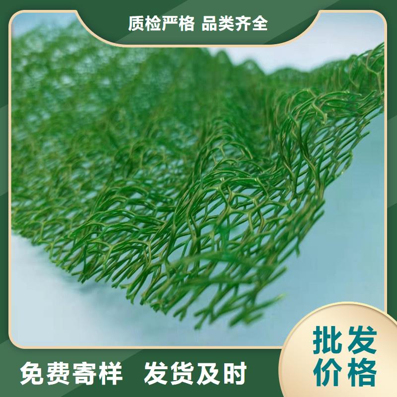 三维植被网水泥化粪池专业品质讲信誉保质量