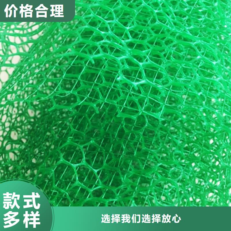 三维植被网化粪池水泥价格公道合理当地公司