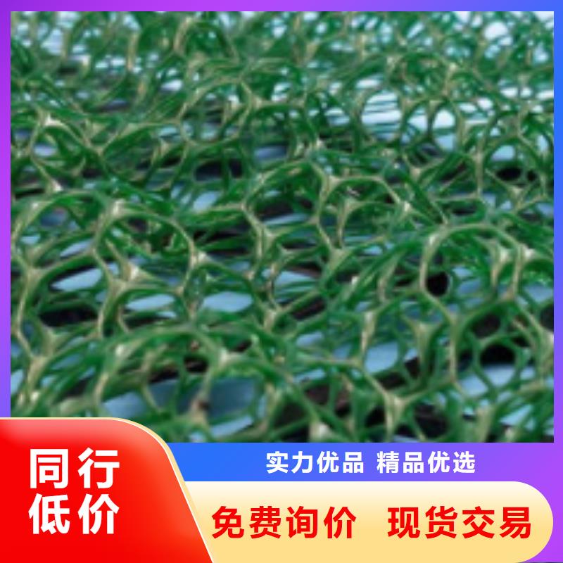 三维植被网水泥化粪池自营品质有保障好产品价格低