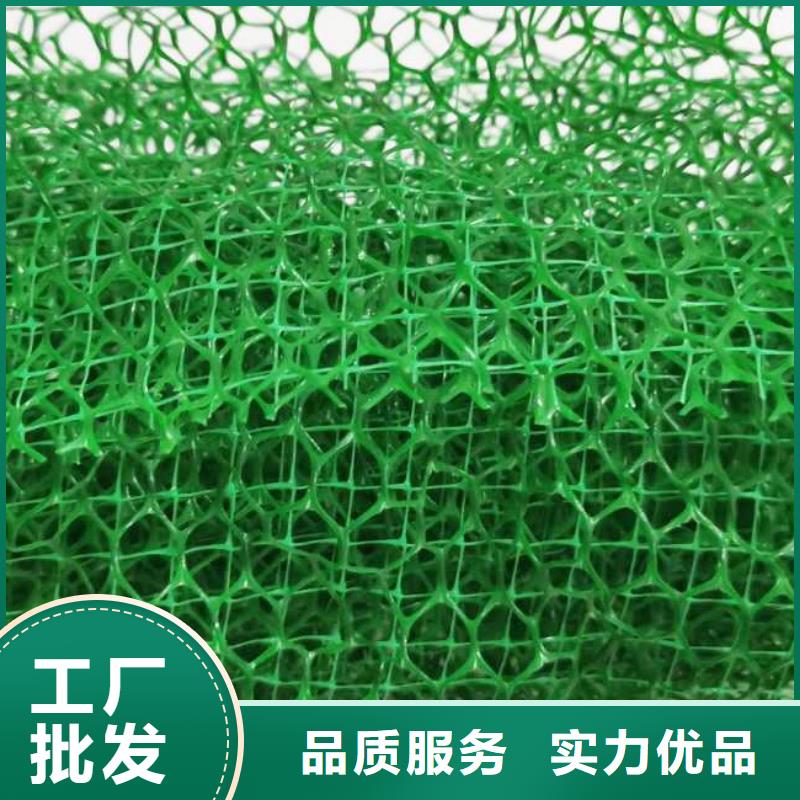 三维植被网水泥化粪池产品细节参数同城生产商