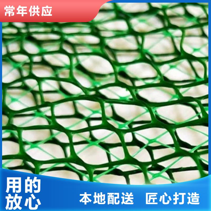 三维植被网-水泥化粪池工艺精细质保长久同城供应商