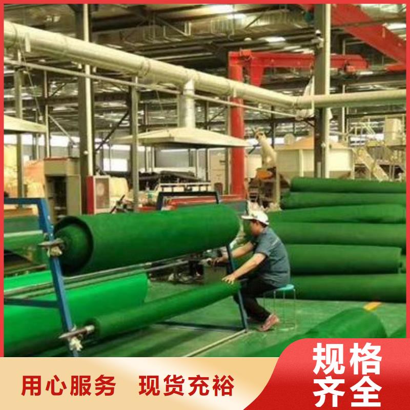 三维植被网植草格现货充裕当地服务商