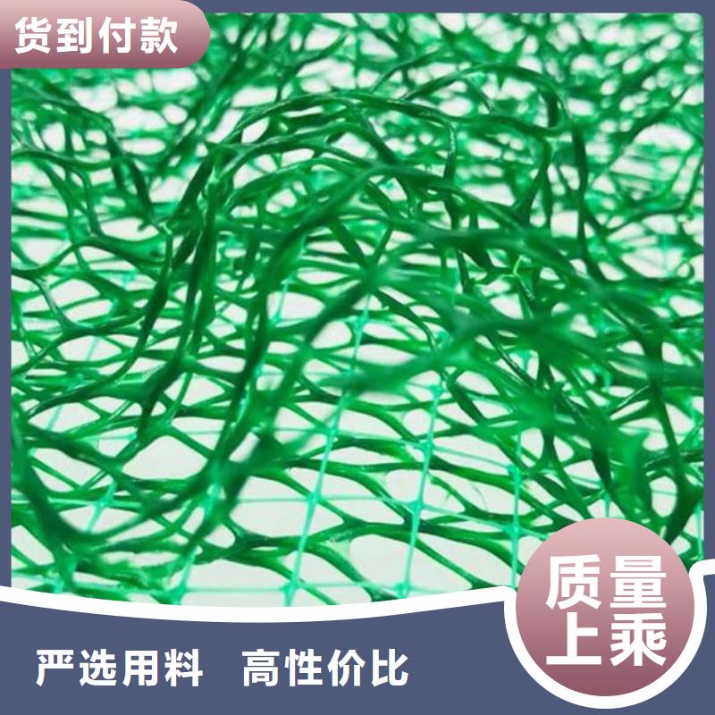 三维植被网排水板厂家实力雄厚物流配货上门