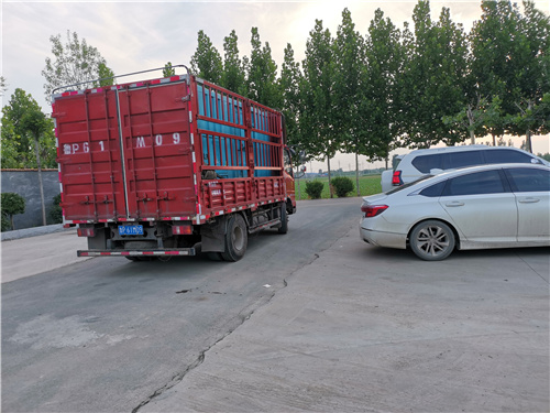 柴油发电机_2500kw发电机租赁用途广泛本地供应商
