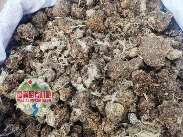 儋州湛江雷州发酵鸡粪种蔬菜好