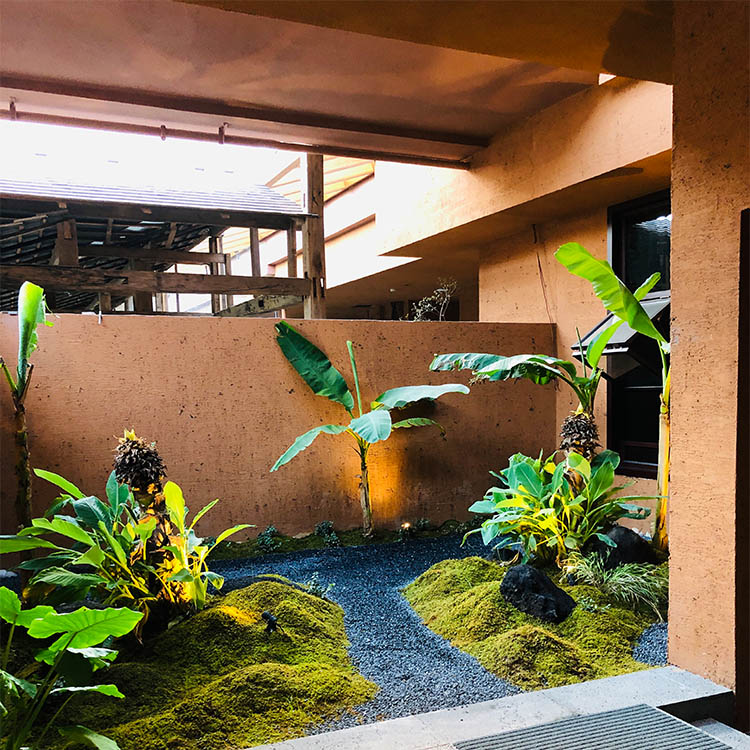 生态稻草漆定制厂家价格优惠