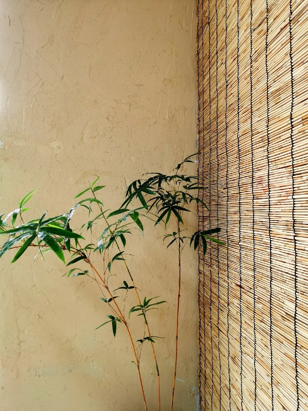 生态稻草漆一平方价格