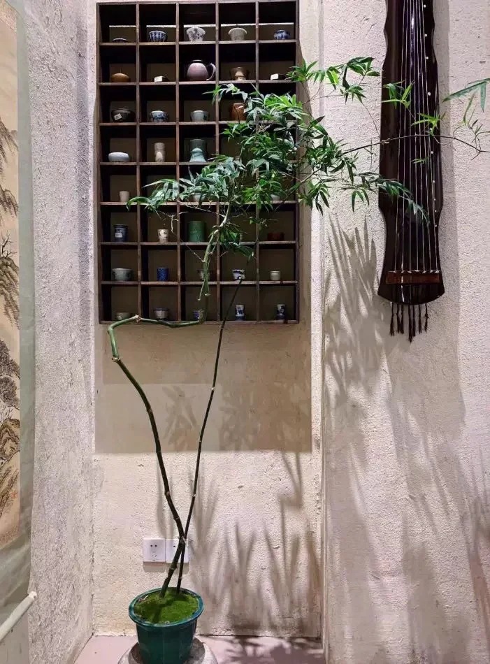 生态稻草漆厂家