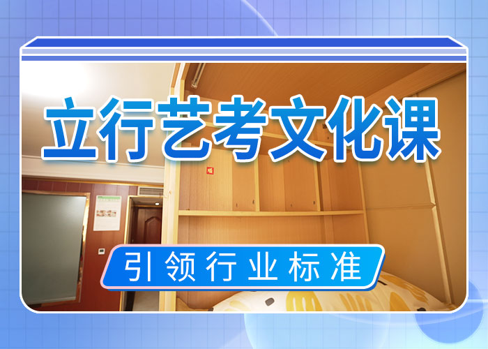 艺考文化课集训艺术生文化补习学真技术