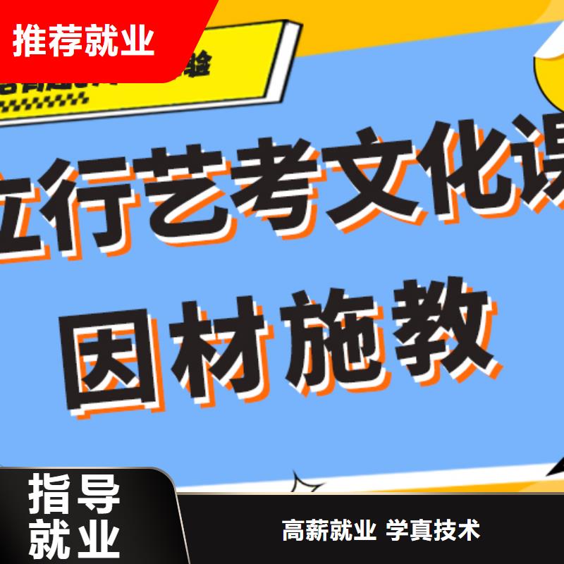 艺术生文化课培训补习一览表学真技术