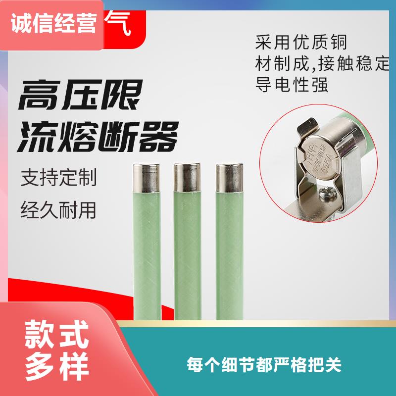 XRNP-24KV/2A熔断器支持定制