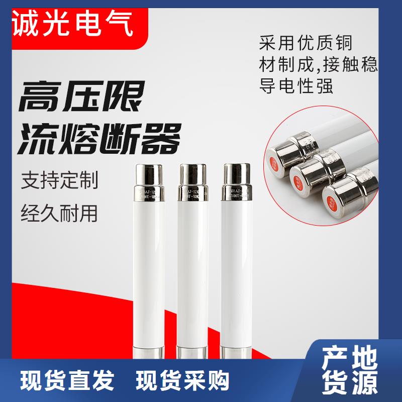 XRNP1-24KV/0.5A高压熔管附近供应商