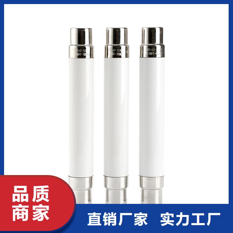 RXWO-40.5/5A限流熔断器重信誉厂家