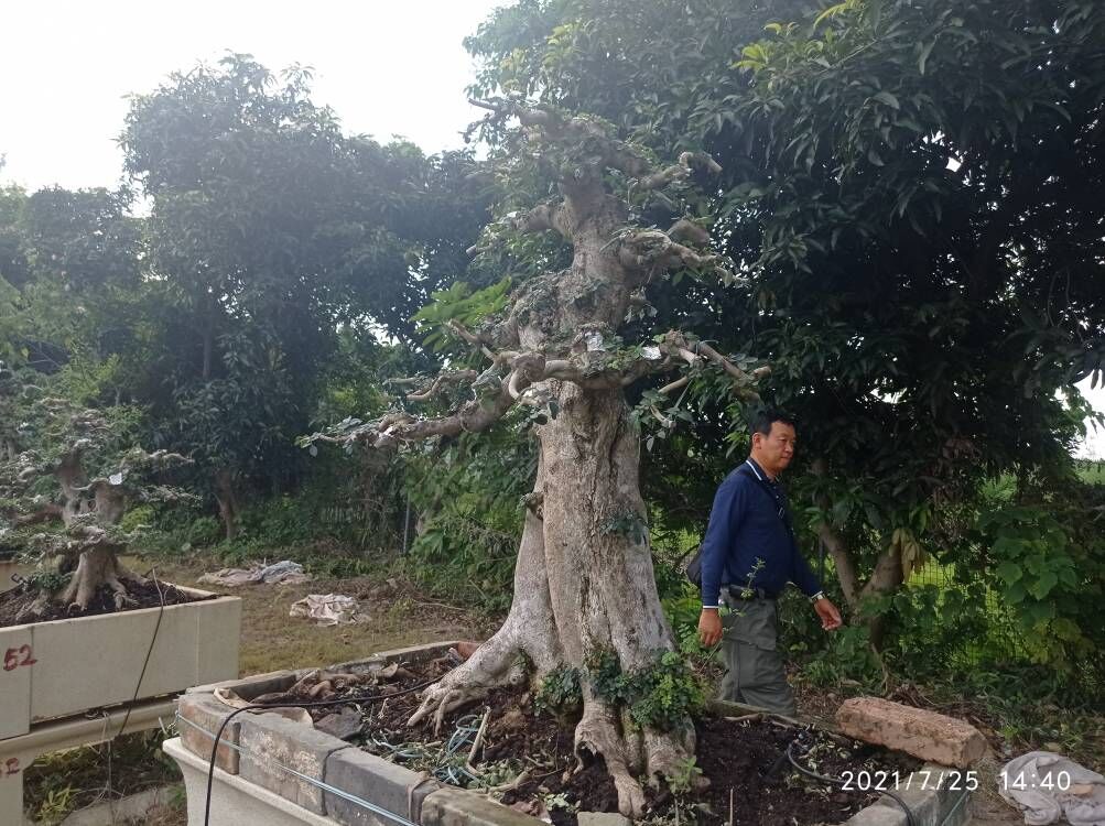 污泥改性剂三沙市石油管道巡线道路好不好